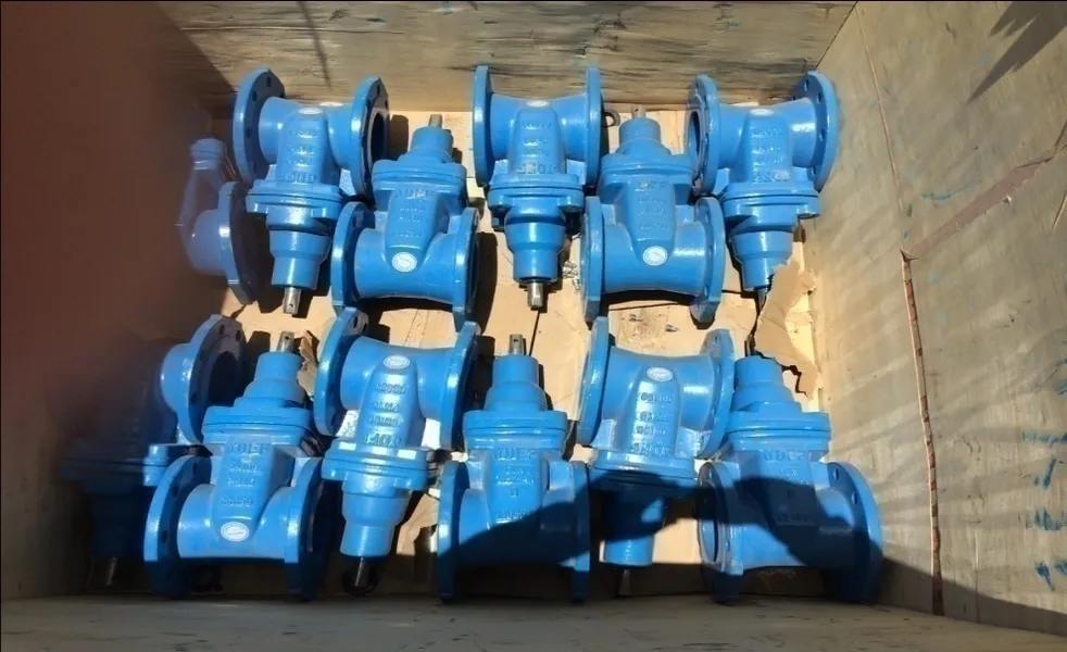Ductile gate valves - supply stock